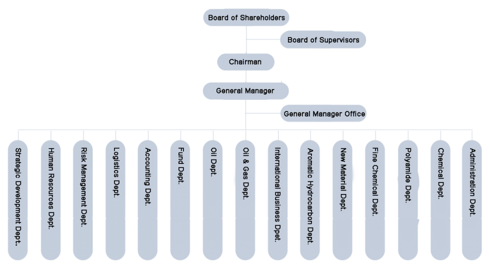 Organizational structure